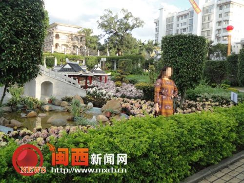 一位市民越過(guò)綠化帶，踩到花叢中拍照