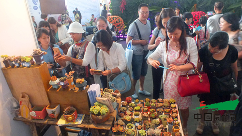 以花搭臺(tái) 共謀發(fā)展 第十七屆昆明國際花卉展成功舉辦 第十七屆昆明國際花卉展成功舉辦(圖2)