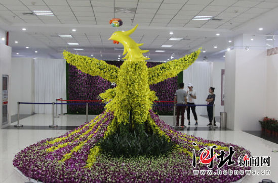 唐山市民快到世園會看國際精品蘭花展(圖1) 唐山市民快到世園會看國際精品蘭花展(圖1)