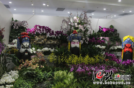 唐山市民快到世園會看國際精品蘭花展(圖2) 唐山市民快到世園會看國際精品蘭花展(圖2)