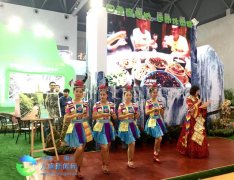 2016重慶國際旅游狂歡節(jié)萬盛展廳