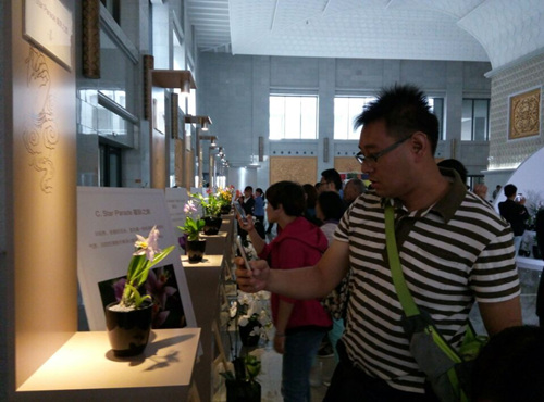 國慶期間法門寺首屆佛文化主題國際蘭花展(圖2) 國慶期間法門寺首屆佛文化主題國際蘭花展(圖2)