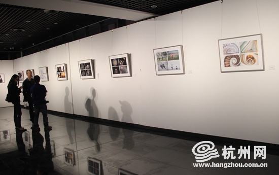 浙江省第十六屆攝影藝術(shù)展在麗水美術(shù)館隆重開幕  浙江省第十六屆攝影藝術(shù)展在麗水美術(shù)館隆重開幕
