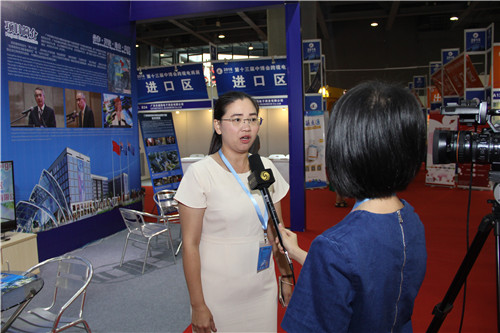 第十三屆中博會(huì)跨境電商展盛大開幕(圖8)