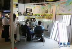 中國(guó)企業(yè)成為中東照明展主力軍