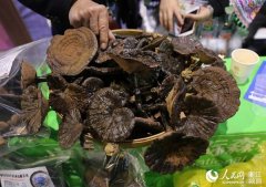 第9屆義烏森博會首設國家精準扶貧展區(qū)