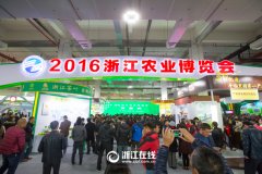 看展覽、嘗美食、囤年貨 2016浙江農(nóng)博會